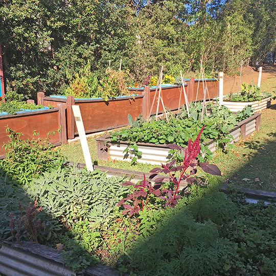 Summer Hill Community Garden